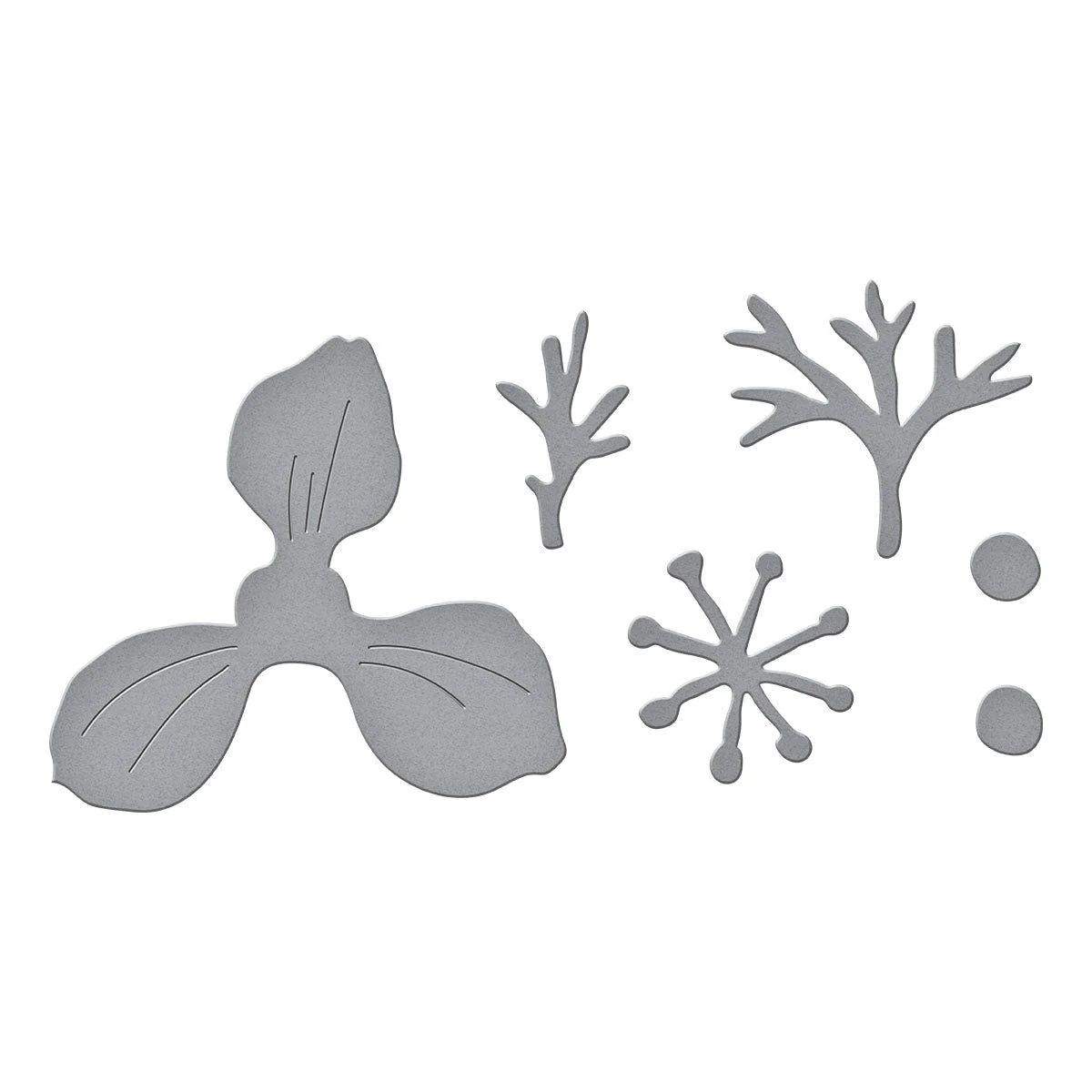 Anemone Etched Dies by Susan Tierney-Cockburn - Image 2